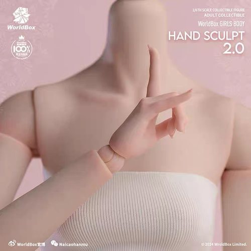 现货 Worldbox AT209 1/6女素体“手型包2.0”配件包
