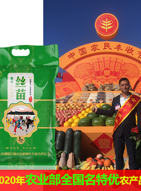 绿色生态特长粒香米5kg潮汕丝苗米2025晚稻新大米优质籼米