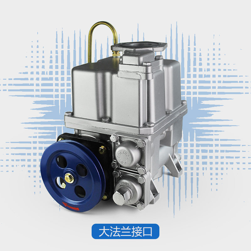 高端加油机组合泵加p板机齿轮泵刮贝泵刮油电机油泵三金片林奢华