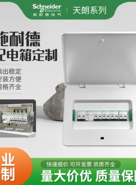 施耐德天朗配电箱定制16暗装TLA08B明装TLM20B回路pz30强电箱成套