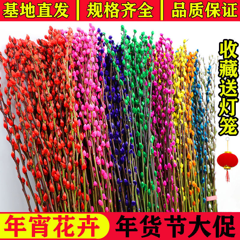 银柳真花七彩鲜枝年宵花卉红色福桶银柳水养植物干花盆栽装饰花束