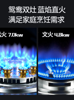 杏田 A燃气灶双灶家用液化气灶煤气炉台式嵌入式灶具天然气猛火灶