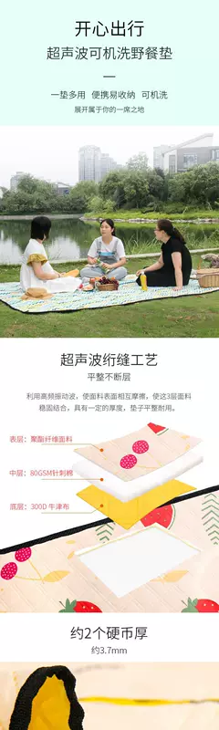 Thảm dã ngoại di động ngoài trời dày hơn 3 mét Máy giặt thảm chống ẩm có thể giặt được vải Oxford không thấm nước thảm cỏ dã ngoại - Thảm chống ẩm / Mat / Gối
