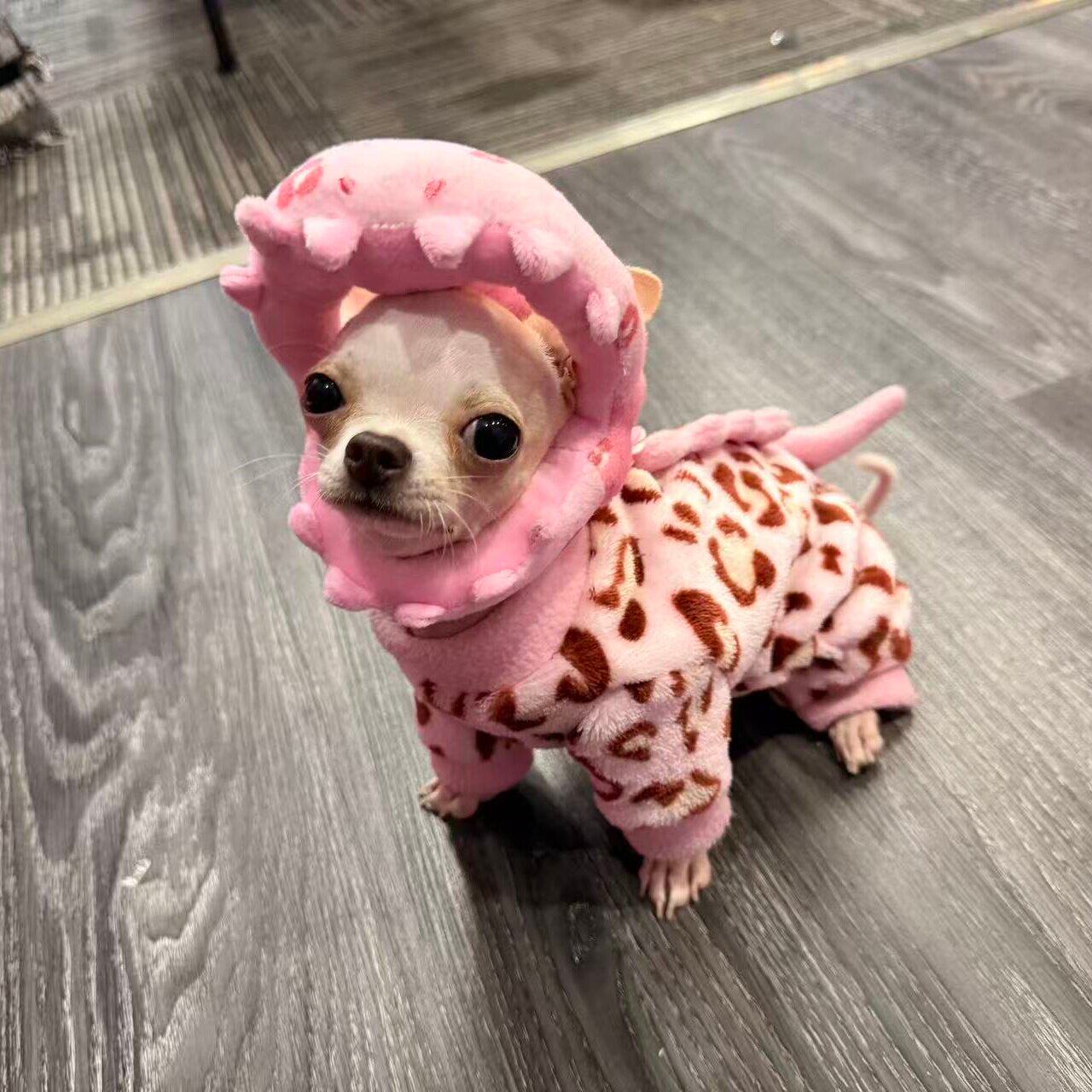 狗狗恐龙造型连体衣秋冬保暖豹纹宠物服装小型犬搞怪换装挂件玩偶