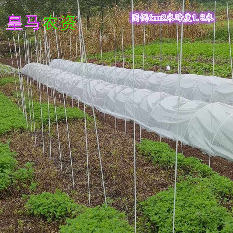 20根小拱棚支架拱杆竿大棚内棚套棚骨架玻璃纤维杆地膜园艺农用业使用感如何?