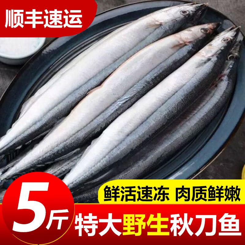 新鲜秋刀鱼冷冻特大号日式料理烧烤海鱼食材海鲜水产商用批发图片