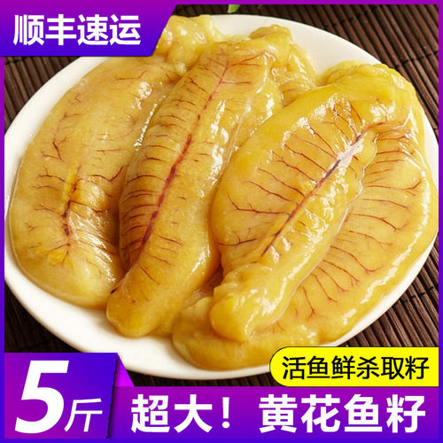 【黄花鱼籽】活鱼鲜杀取籽高品质