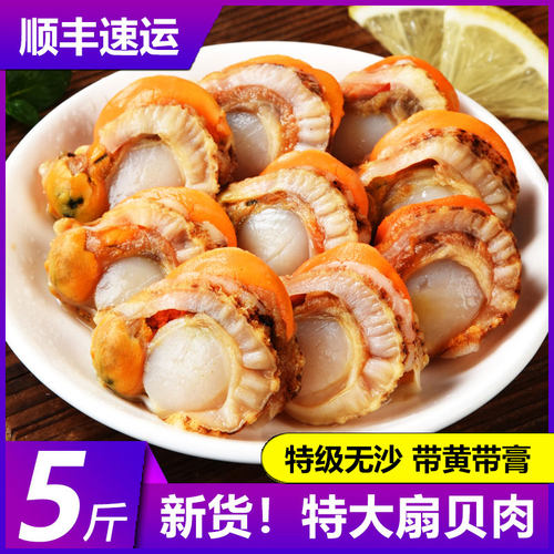 新鲜扇贝肉超大水产带黄带膏