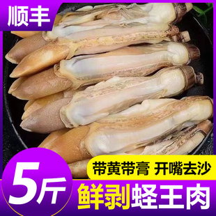熟冻去壳速冻蛏王肉大个冷冻蛏子肉海鲜水产鲜活圣王肉竹蛏肉贝类
