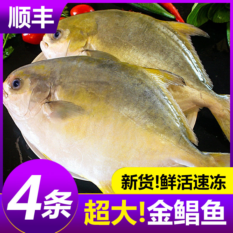 金鲳鱼新鲜冷冻特大鲳鳊鱼金昌鱼海鱼鲜活海鲜平鱼白鲳冰鲜银鲳鱼