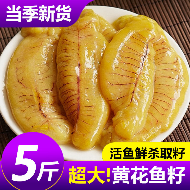 黄花鱼籽新鲜超大鱼泡鱼子鱼肚鱼白鱼膘鱼杂鲜活海鲜鱼籽冷冻商用