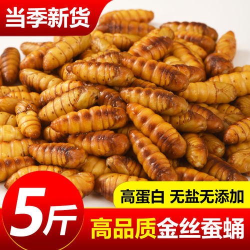 金丝蚕蛹鲜活速冻顺丰发货