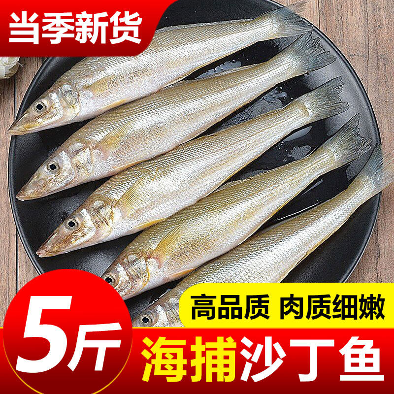 沙丁鱼深海鱼新鲜冷冻小银鱼鲜活海鲜水产烧烤食材面条鱼无小刺 - 嵩海生鲜旗舰店出品