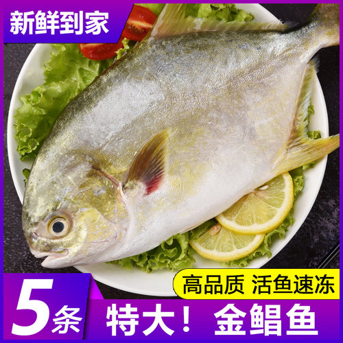 深海金鲳鱼新鲜冷冻水产