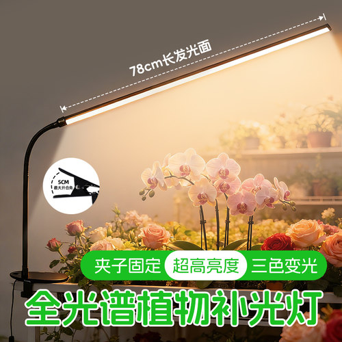 全光谱植物补光灯夹子式usb彷太阳光室内三角梅多肉专用生长LED灯