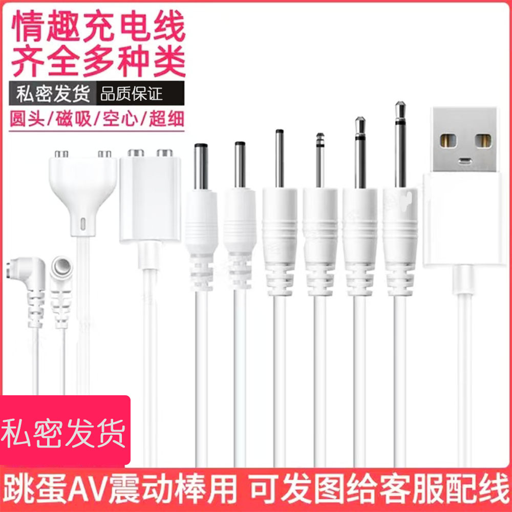 情趣用品成人玩具充电线