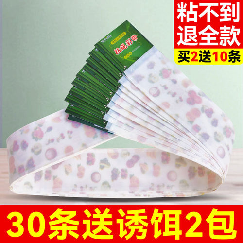 苍蝇贴粘蝇纸强力粘诱杀捕捉苍蝇