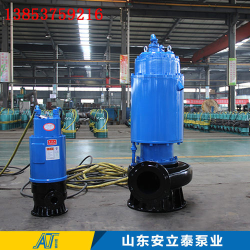 防爆潜污泵 防爆排污泵使用方法及教程WQB200-30-37