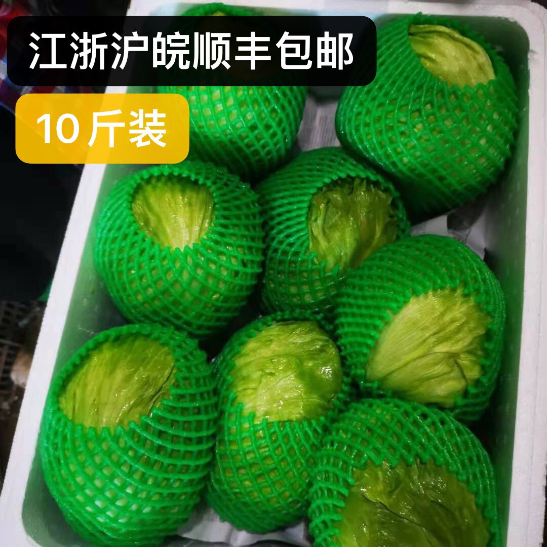 球生菜汉堡专用10斤装西餐新鲜蔬菜沙拉食材结球形圆型西生菜包邮