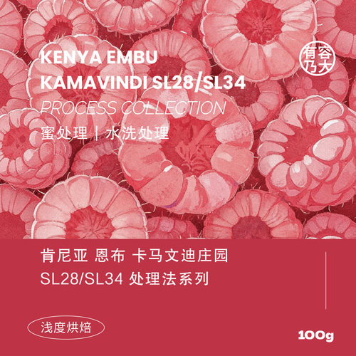 肯尼亚水洗蜜处理浅焙手冲咖啡豆