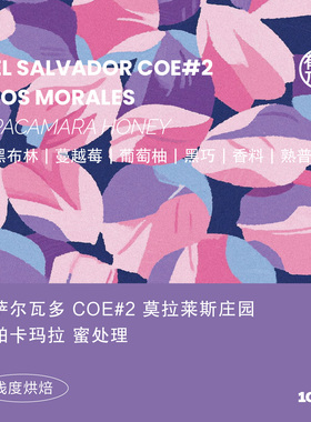 有容乃大萨尔瓦多COE#2莫拉莱斯庄园帕卡玛拉蜜处理手冲浅焙咖啡