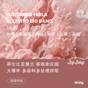 Bang 有容乃大哥倫比亞蒂維索莊園大爆炸多品種多處理手沖拼配Big
