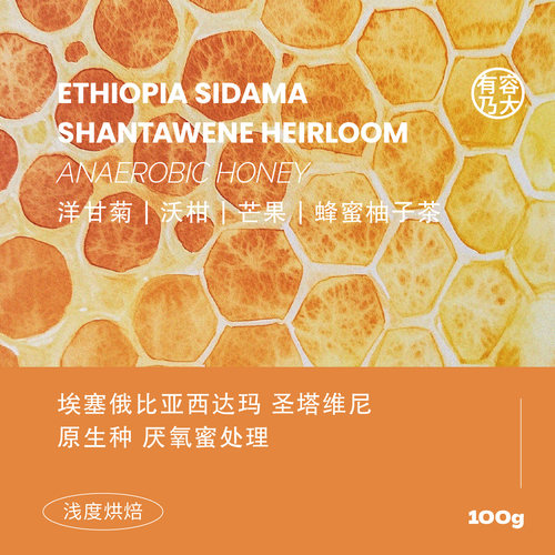 埃塞25产季圣塔维尼手冲咖啡豆