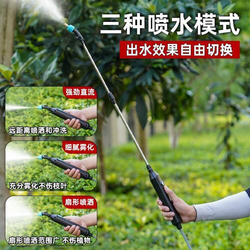 多功能电动便携家用喷雾水枪