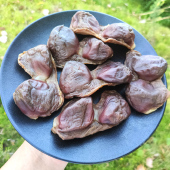 江西特产腊鸭胗风干腊鸭肾鸭胃鸭肫赣南农家自制咸鸭胗遂川鸭庆子