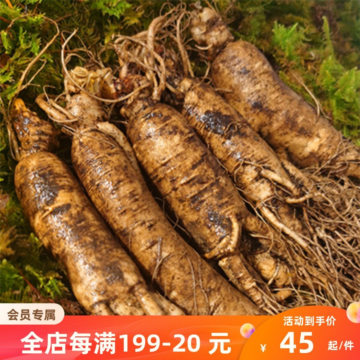 包邮500g人参长白山鲜参人参带土东北鲜人参新鲜参中药材参类滋补