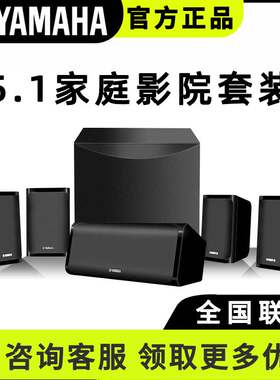 雅马哈NS-PA41家庭影院