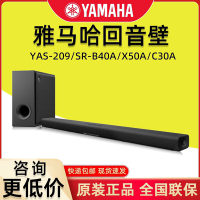 Yamaha/雅马哈B40A/X50A回音壁