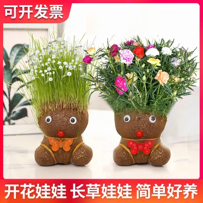 diy创意草头娃娃开花绿植桌面儿童水培长草植物幼儿园盆栽小摆件