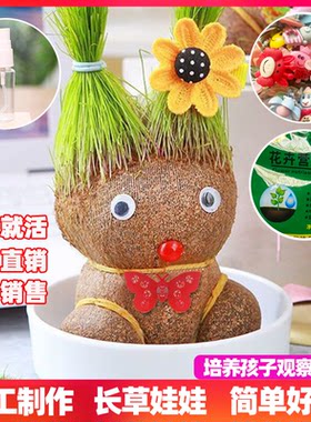 草头娃娃儿童好养幼儿园小盆栽