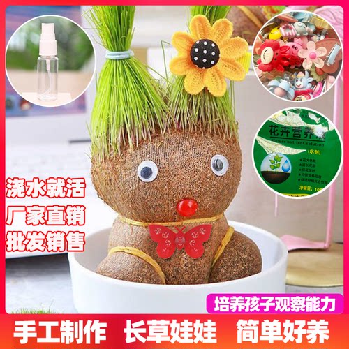 草头娃娃儿童好养幼儿园小盆栽