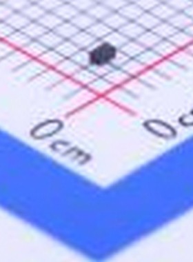 BDFN2A121V 静电和浪涌保护(TVS/ESD) BDFN2A121V DFN1006-2L