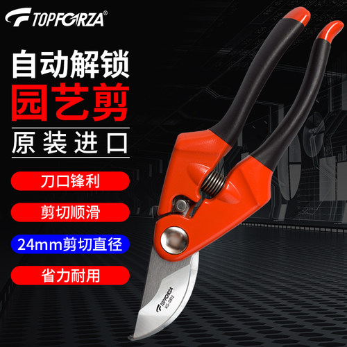 拓伏锐进口园林树枝专业家用果木