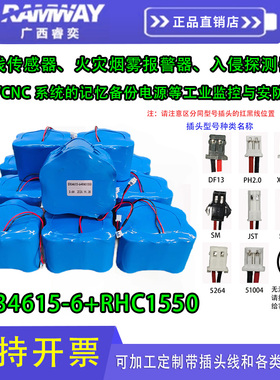 睿奕电池组ER34615-6+RHC1550组合定制烟雾报警器PLC工业监控安防