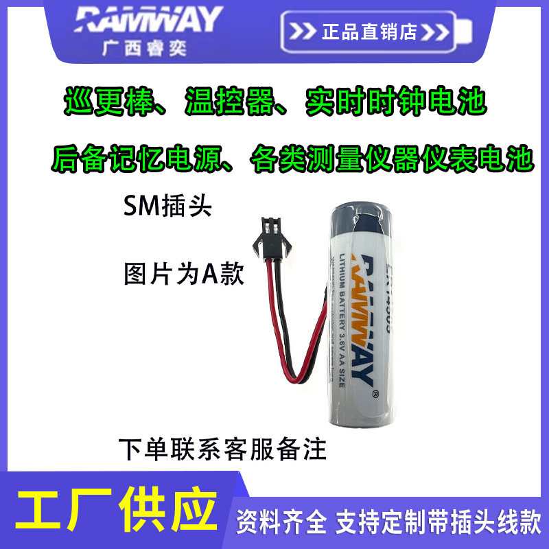 睿奕ER14505电池巡更棒温控器实时时钟后备记忆电源测量仪器仪