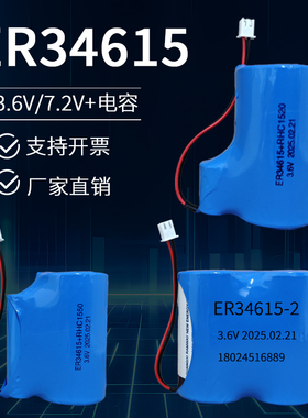 睿奕ER34615流量计电池D型1号 3.6V水表电池物联网仪器仪表锂电池
