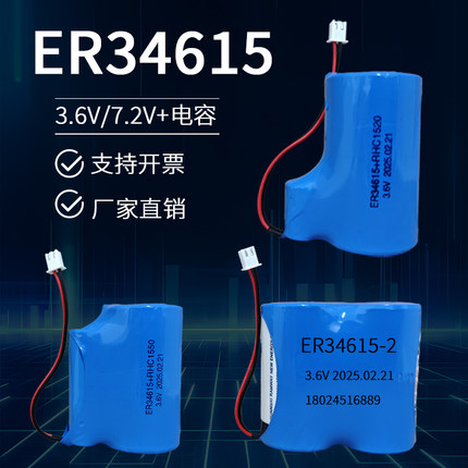 睿奕ER34615流量计电池D型1号 3.6V水表电池物联网仪器仪表锂电池