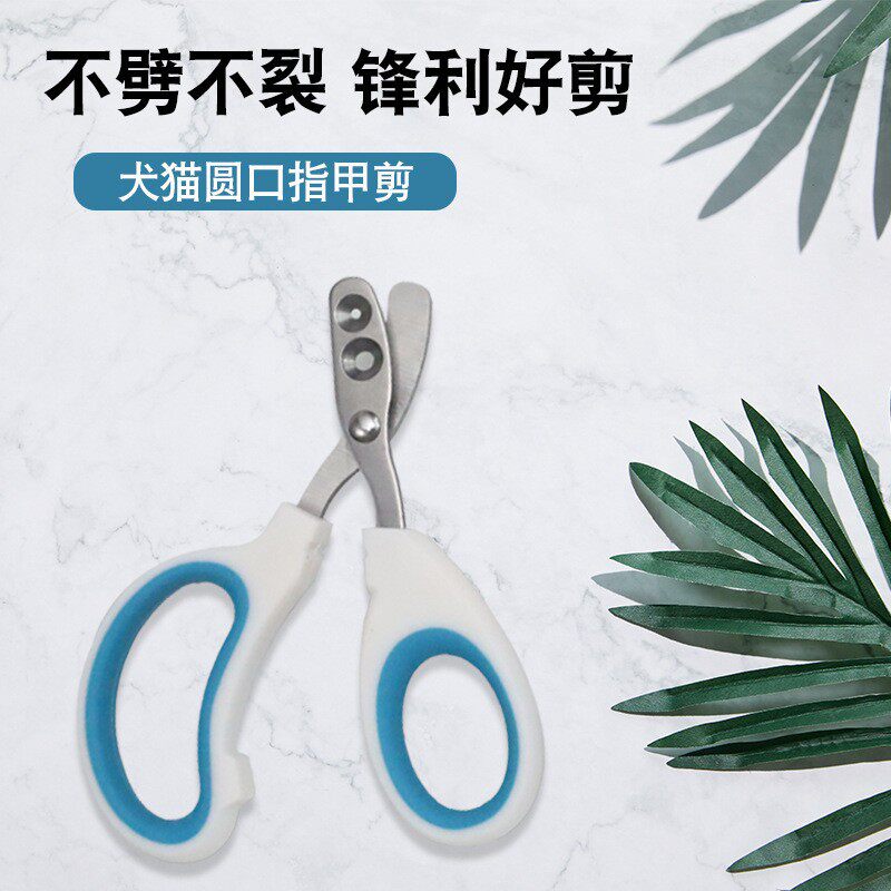 猫咪指甲剪小盲剪带圆孔宠物猫狗指甲刀防出血猫指甲剪防误伤