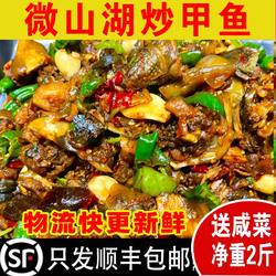 微山湖炒甲鱼熟食即食现炖甲鱼汤水鱼王八真空装山东济宁特产2斤