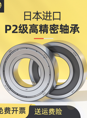 EVB进口高速轴承P2型号大全6201 6202 6203 6204 6205RS 6206静音