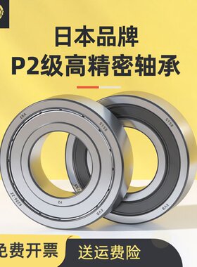 EVB进口高速轴承P2型号大全6201 6202 6203 6204 6205RS 6206静音