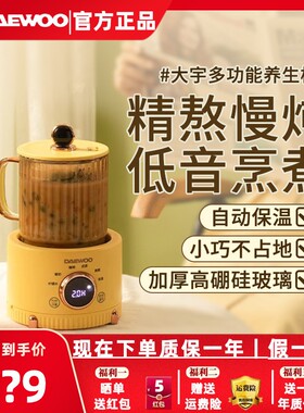 大宇养生家用多功能办公室养生壶
