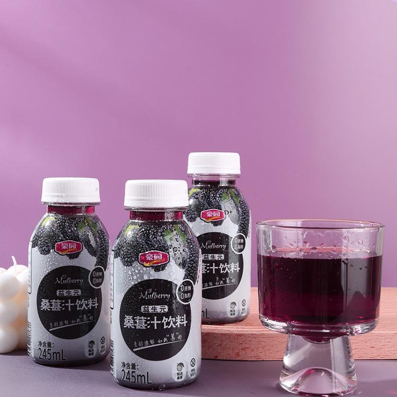豪园益生元桑葚汁网红饮料整箱风味245ml*10瓶酸酸甜甜小瓶饮料