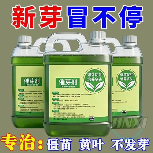 老桩狂窜芽【猛催芽高增产】