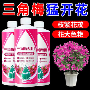 【催芽促花】三角梅营养液干枝促发芽开花预防落叶黄叶枯萎通用型