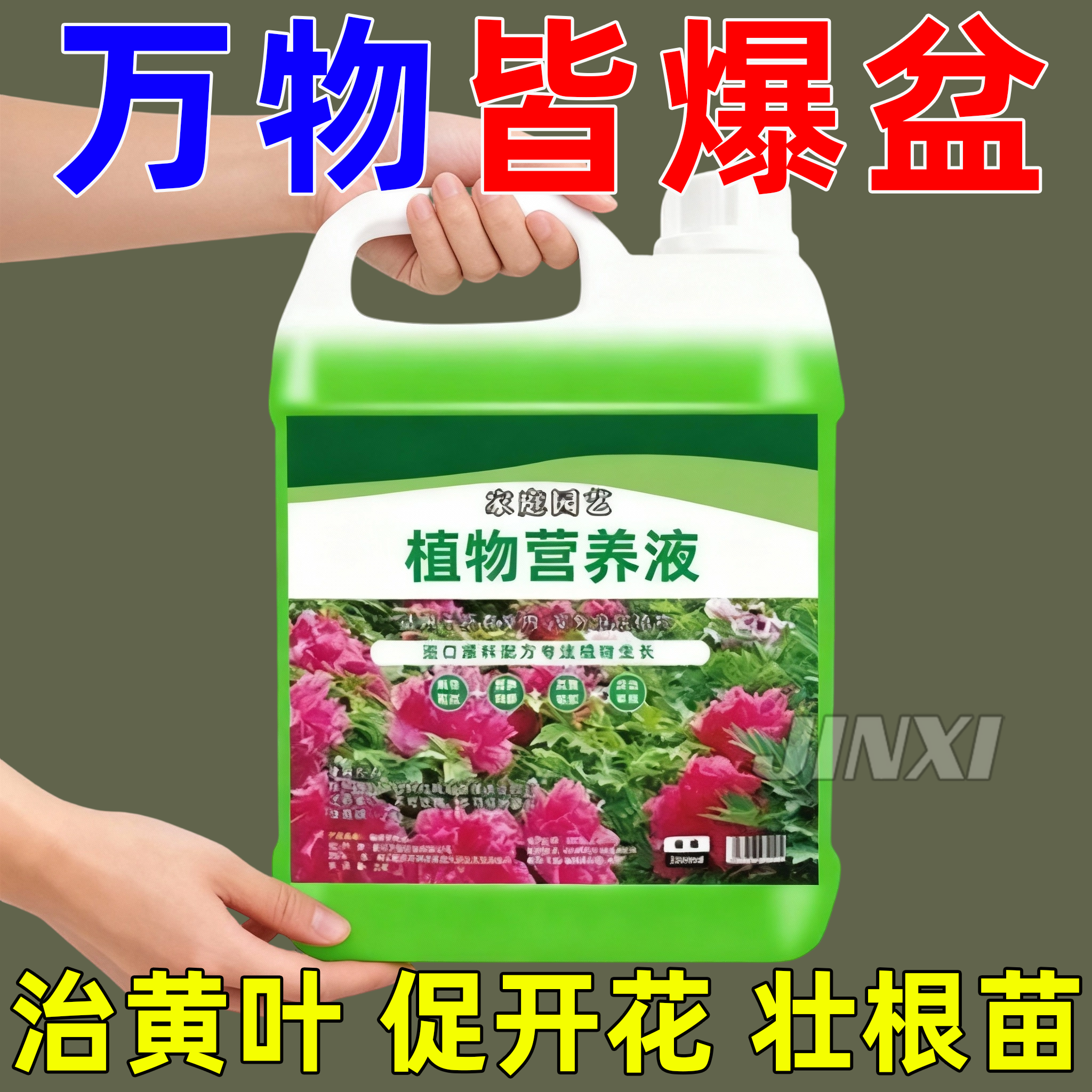 拯救黄叶/生根壮苗/花艳叶绿